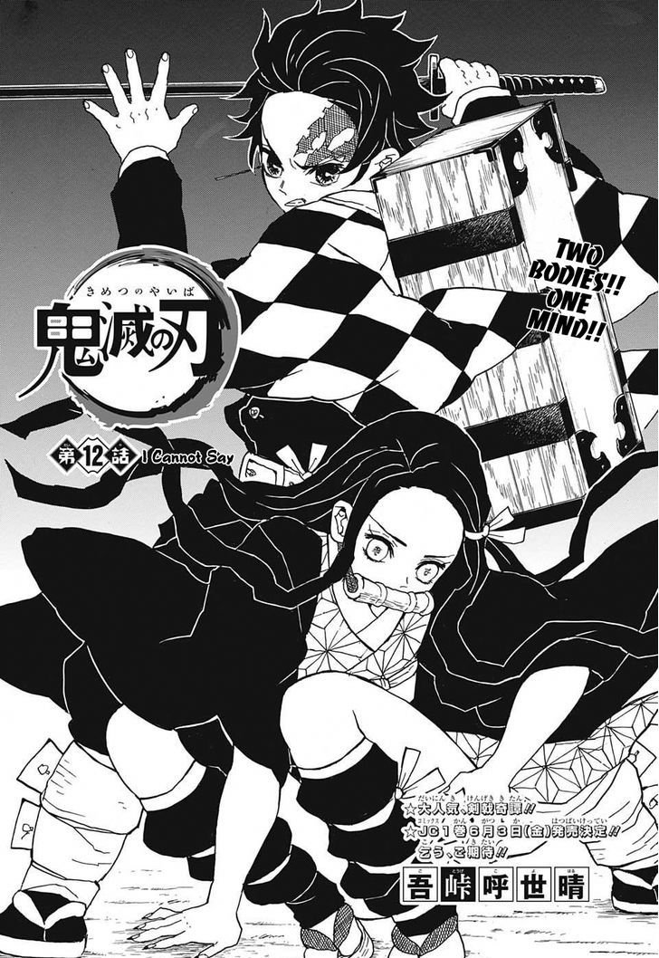 Demon Slayer Chapter 12 - Page