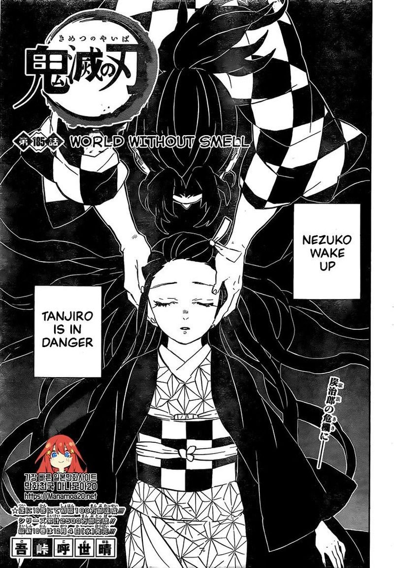 Demon Slayer Manga Chapter 185