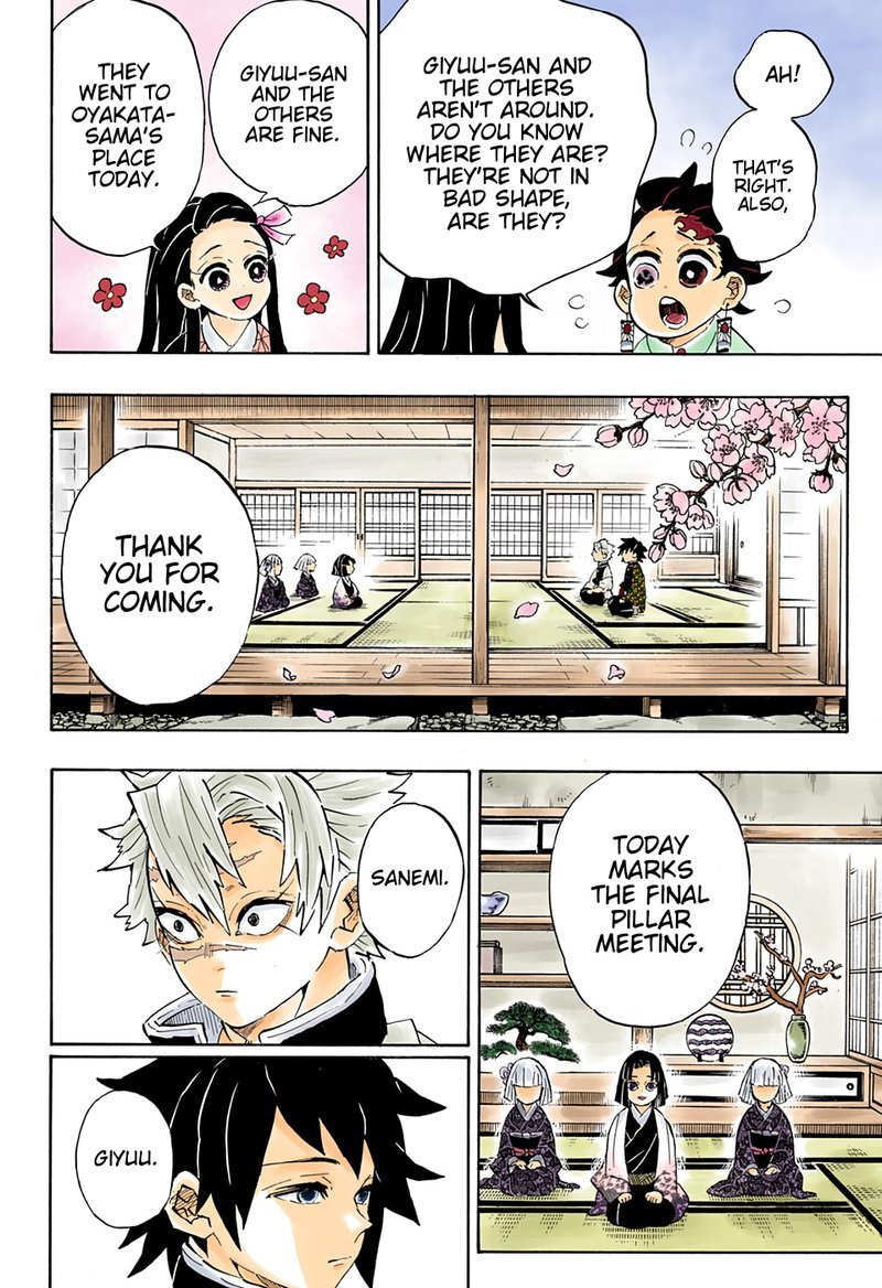 Demon Slayer Chapter 204 - Page